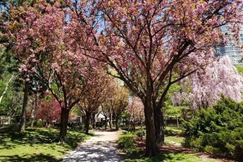 Welcome Spring! 