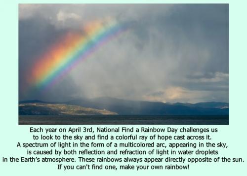 Happy Find A Rainbow Day! 