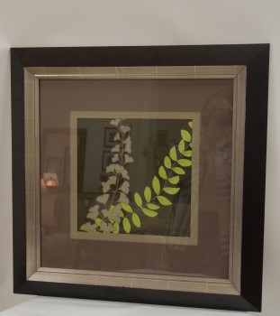 $53.00