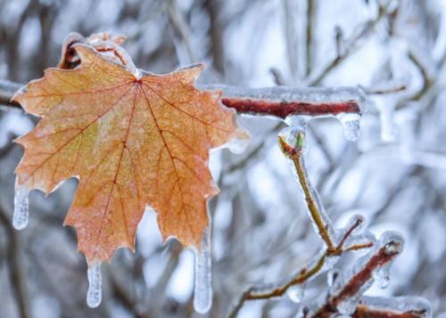 December Weather 