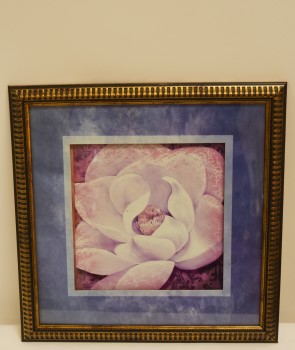 $23.00 each 