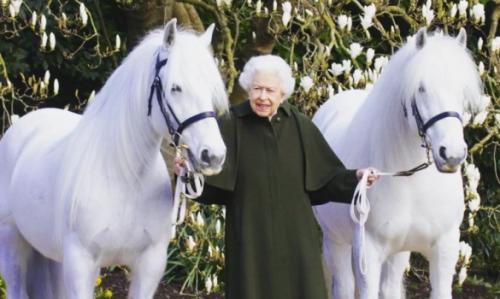 Queen Elizabeth And Horses