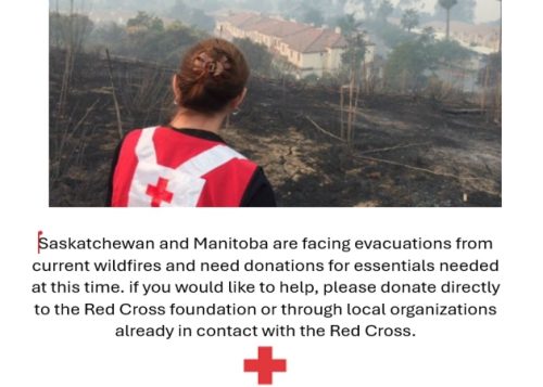 Red Cross Wildfire Donations