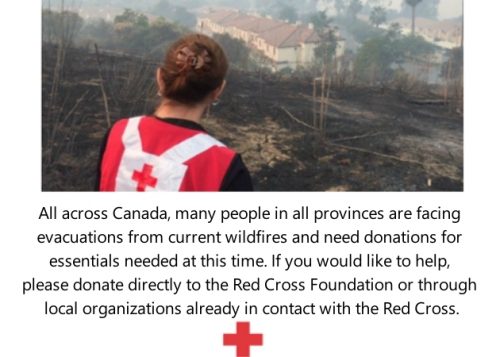 Red Cross Wildfire Donations