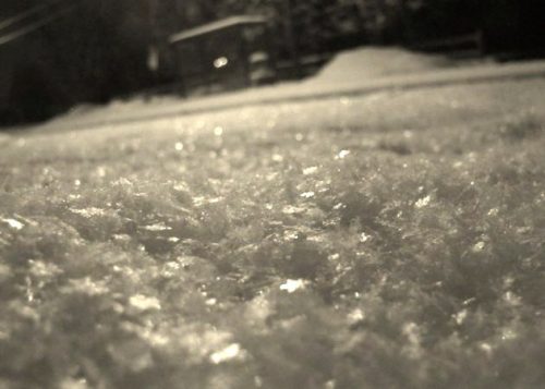 Fresh Evening Snowfall 