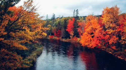 Hello Autumn! 