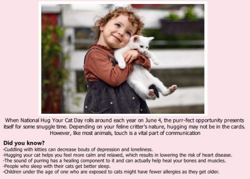 Happy Hug your Cat Day! 