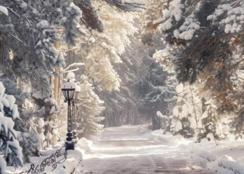 Winter Pathway 