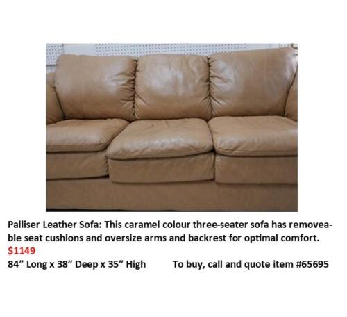 Palliser Leather Sofa (1)